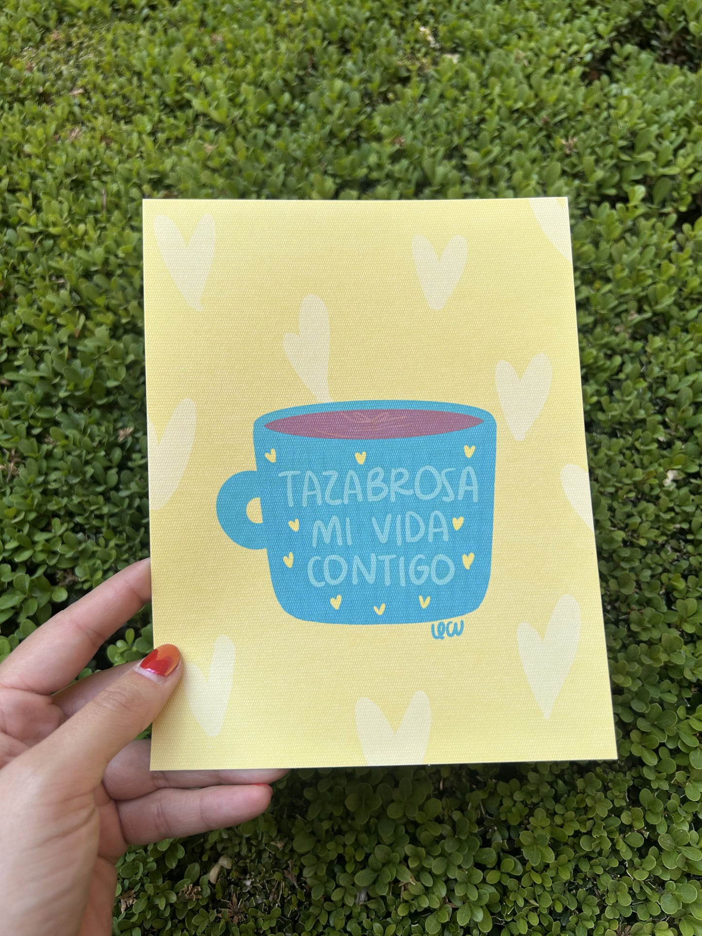 Tazabrosa mi vida contigo