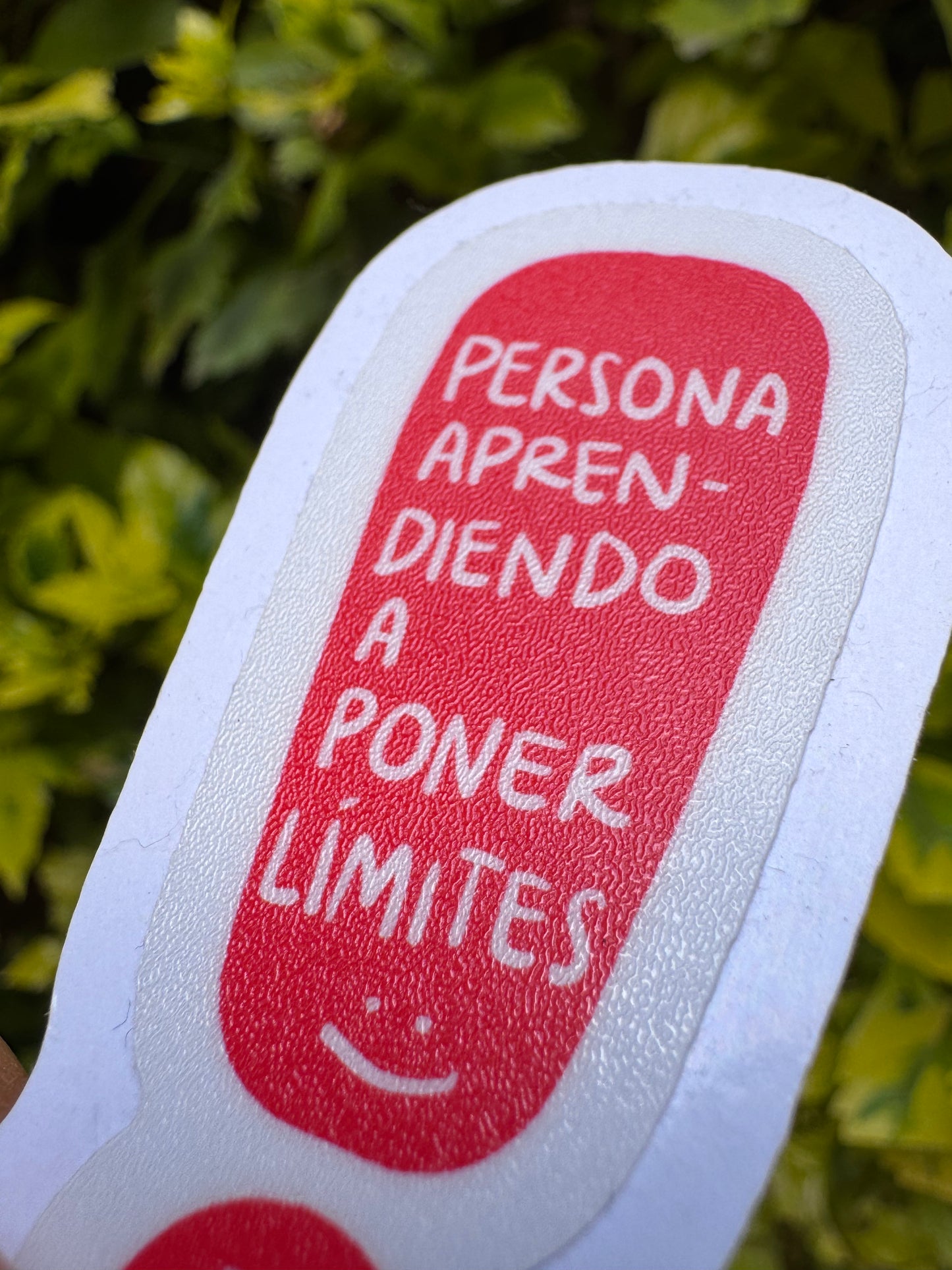 Sticker Poniendo Límites