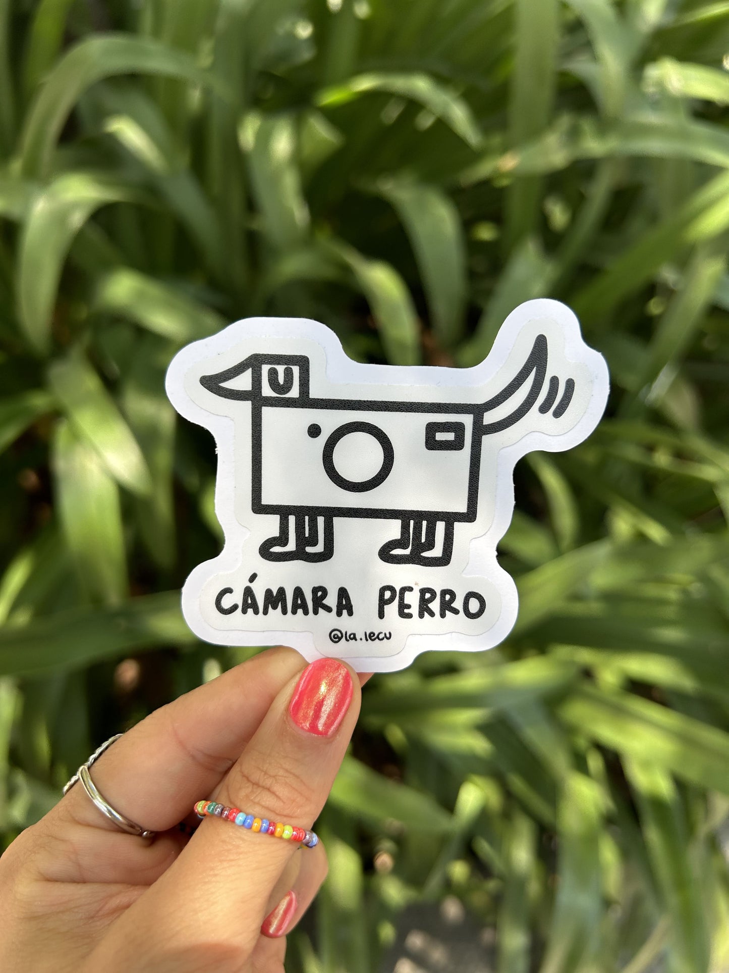 Sticker Cámara perro